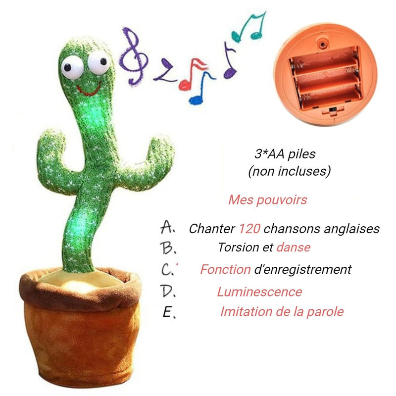 Cactus dansante -2.0 - Noshlee