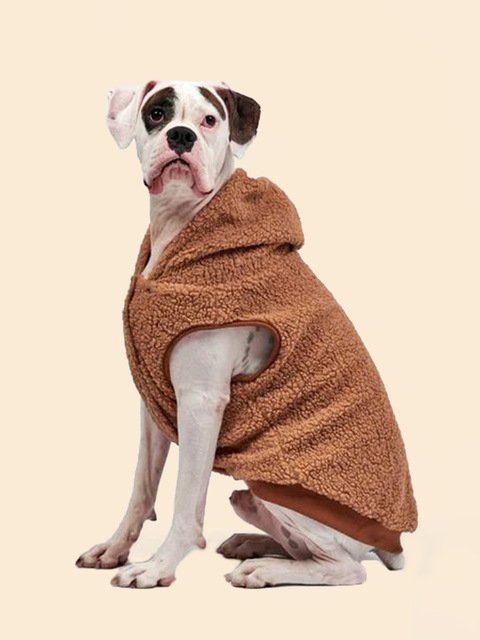 Gilet®-Dog Spark Paws - Noshlee