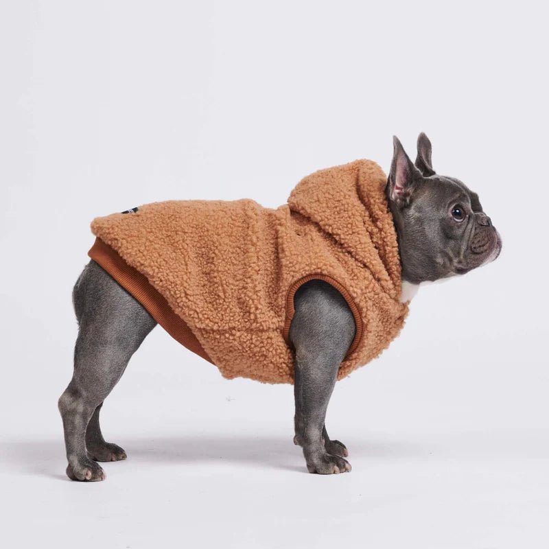 Gilet®-Dog Spark Paws - Noshlee