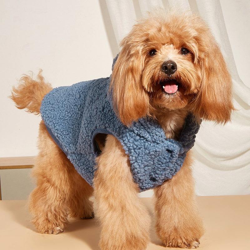 Gilet®-Dog Spark Paws - Noshlee