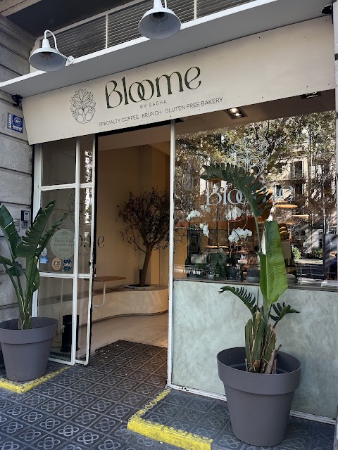 Nikola Steinerová Bloome by Sasha | Passeig Sant Joan