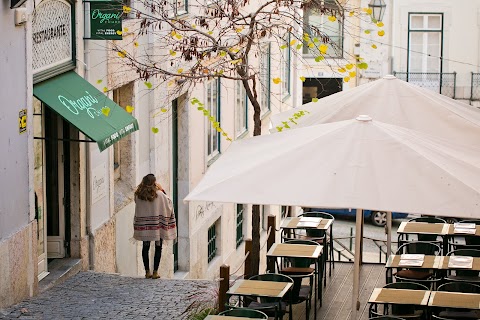 Organi Chiado Organi Chiado