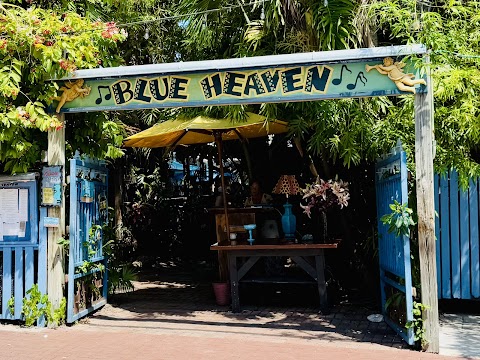 Adventurous Birder Blue Heaven